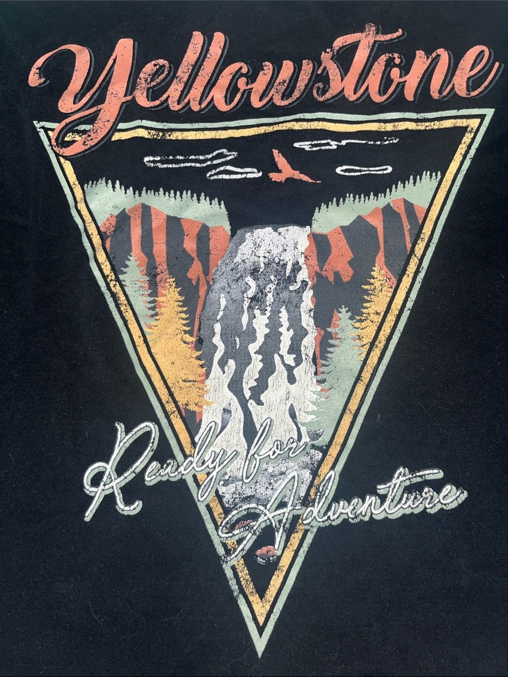 AWAKE Yellowstone Graphic Cropped T-Shirt | Raw Hem | Women's XL